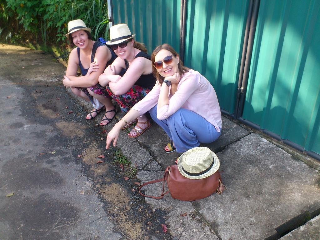 Araliya Holiday Bungalow Kandy Extérieur photo
